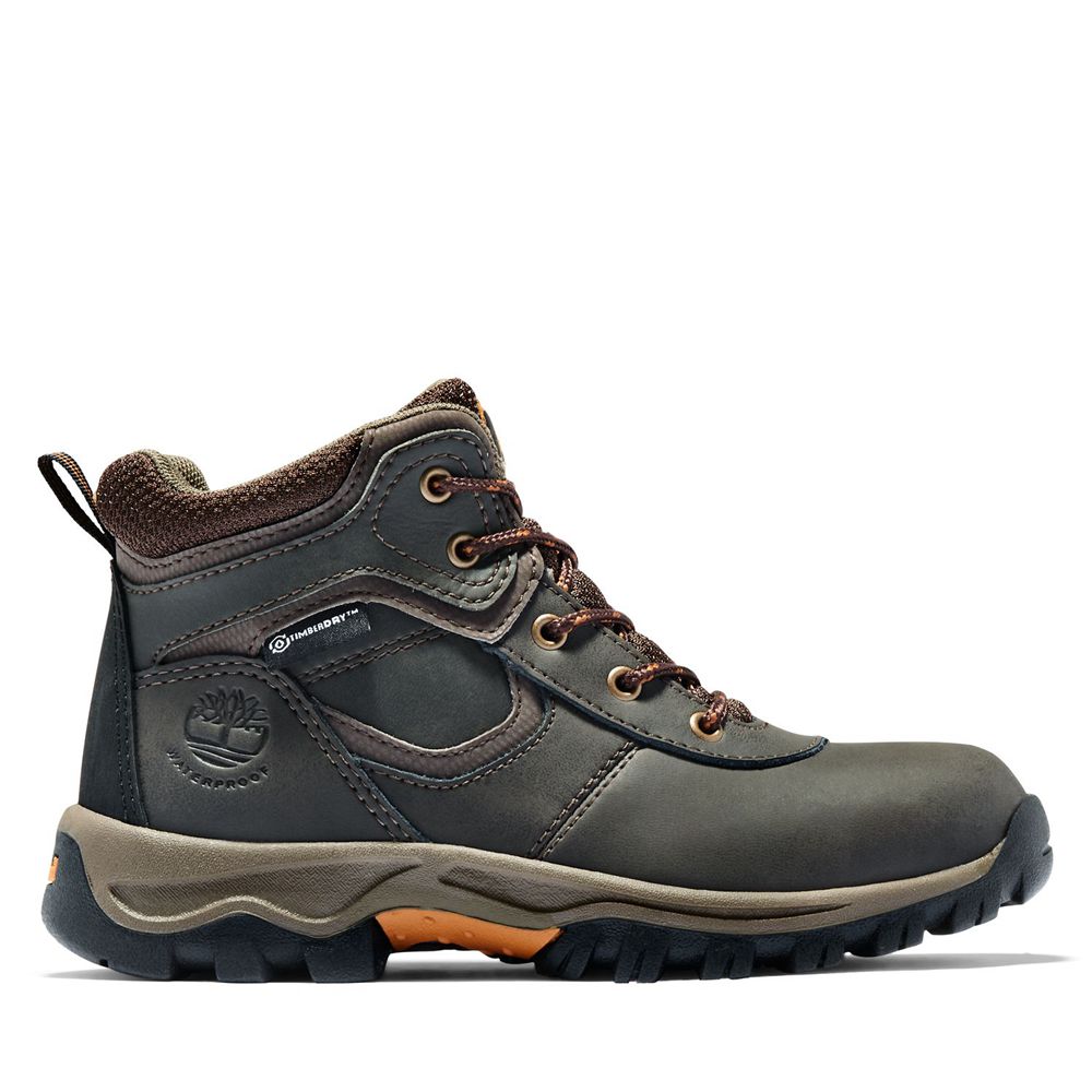 Botas de Montaña Timberland Argentina Niños - Youth Mt. Maddsen Waterproof - Marrones Oscuro - ZFNGV